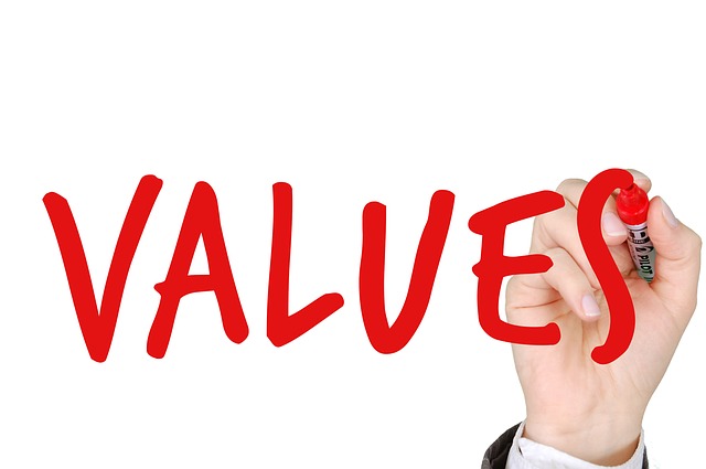 Values & Purpose