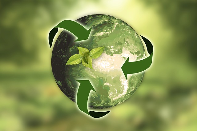 Sustainability Group